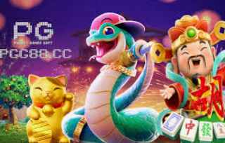 星空综合app桌面版客户端