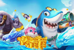 星空综合app最新版