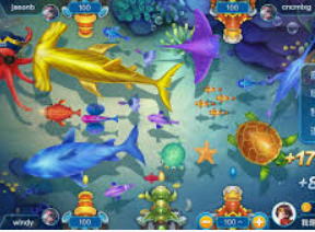 星空综合app桌面版客户端