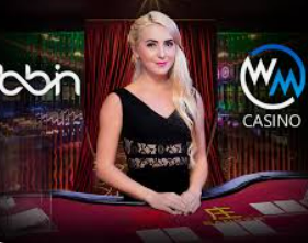 星空综合app桌面版客户端