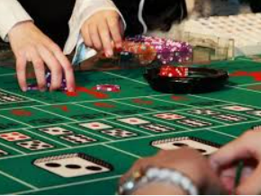 星空综合app电脑免费版